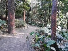 -南岗山公园