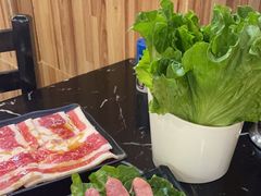 -燚青春东北泥炉烤肉(百合店)