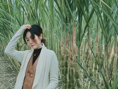 -汉长安城未央宫国家考古遗址公园