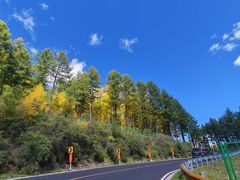 -塞罕坝国家级自然保护区