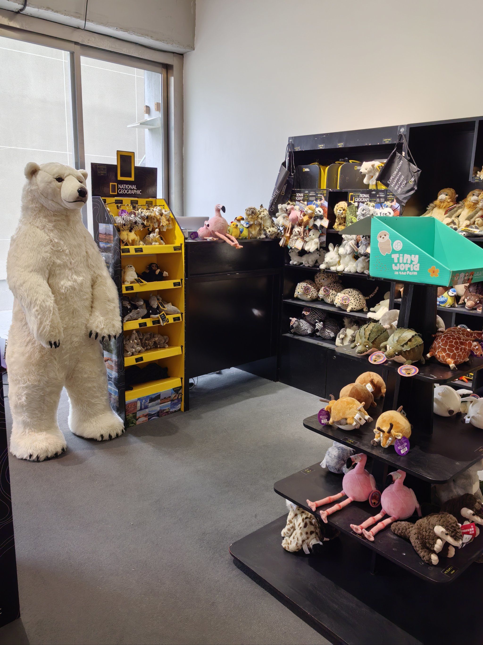 0元玩转这座城 隆福寺艺术馆在举行(珍稀动物)展