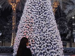 -广交会威斯汀酒店