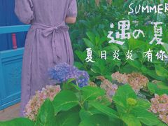 -秀丽东方