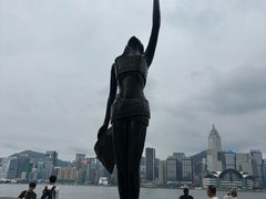 -星光大道