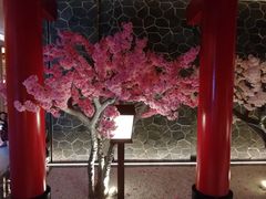 -蓝鲸湾汤泉(包河店)