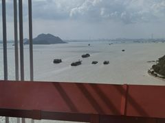 -杨梅坑
