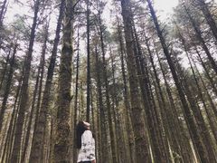 -石棉县孟获城