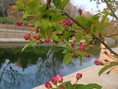 -元大都城垣遗址公园