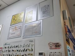 -宠福鑫康馨动物医院·骨科·眼科