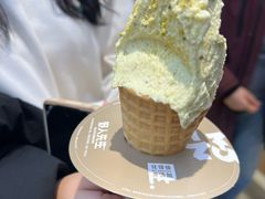 -野人先生现做冰淇淋(北京王府井东方新天地店)