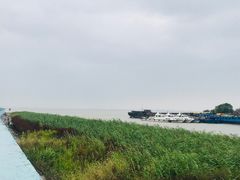-瀛洲公园