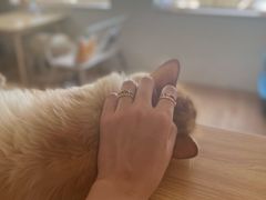 -小时光咖啡馆(开森度假森林店)