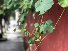 -兴教寺