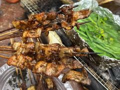 -南宁良凤江国家森林公园