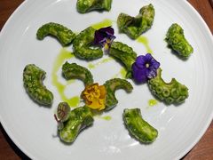 芥末青酱八爪鱼-CHIC1699远洋私厨