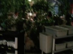 -茉莉餐厅(包河万达店)