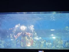 -重庆欢乐海底世界