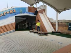 -美的鹭湖探索王国