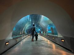 -石家庄海洋公园