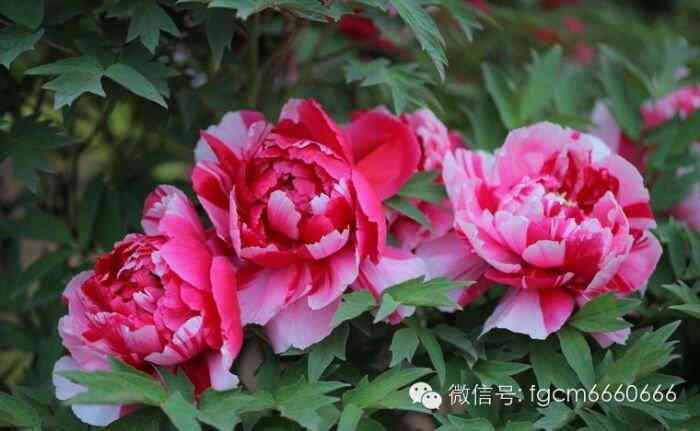 打分 味道不错,价格公道,服务周到,肉品地道.