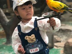 -西霞口神雕山野生动物世界