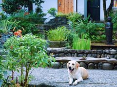 -Cafe In Little Forest
