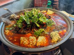 -师烤·豆花烤鱼(广州荔湾扬韬广场店)