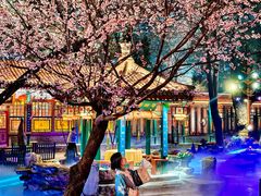 -白家大院·王府宫廷菜(苏州街店)