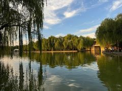 -洛阳市隋唐城遗址植物园