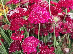 -爱尚幸福鲜花(上地实体店)