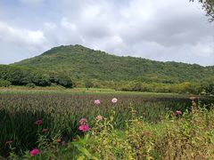 -八卦田遗址公园