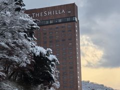 -新罗免税店(首尔总店)