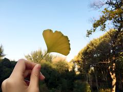 -西安市长乐公园