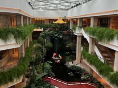 -广州白天鹅宾馆