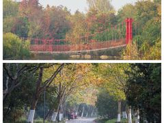 -上海吴淞炮台湾国家湿地公园