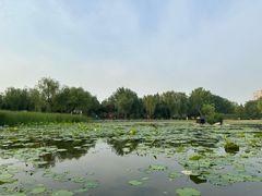 -太阳宫公园