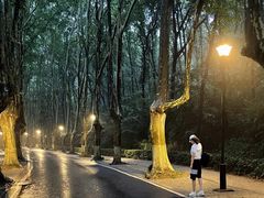-钟山体育运动公园