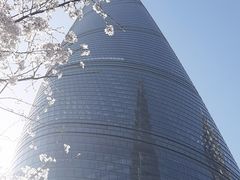 -上海中心大厦