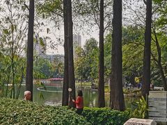 -晓港公园