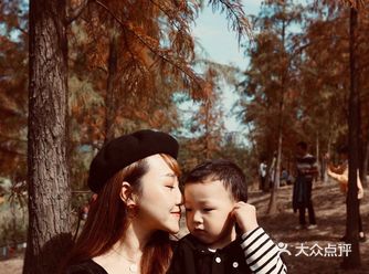 0元拍亲子照|落羽杉正红漫步秋日童话森