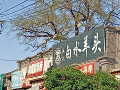 -洪记白水羊头(留学路店)