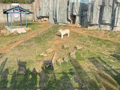 -无锡动物园·太湖欢乐园