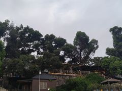 -阿南海鲜