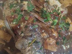 -庆岭迎宾园正宗活鱼馆