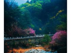 -泰山花样年华景区