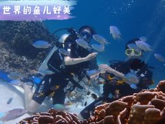 -班拉雅潜水度假村