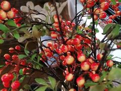 -湘邻呷铺·田园家宴(汉基广场店)