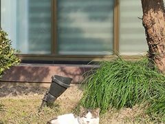 -外滩往事民国上海菜(黄浦店)