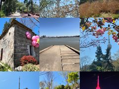 -龟山风景区-龟山电视塔