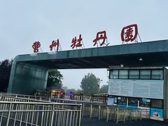 -曹州牡丹园